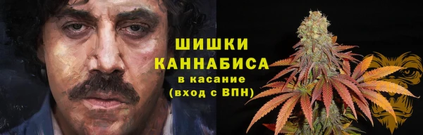 амф Нягань