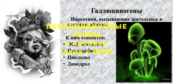стафф Няндома
