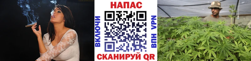 Бошки Шишки Amnesia  Железногорск-Илимский 